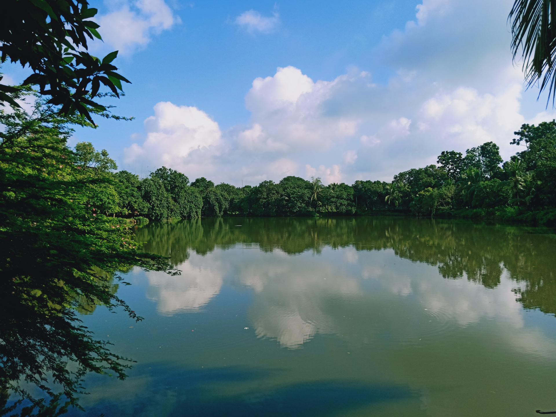 The dighi reflecting clouds and trees at Amadpur