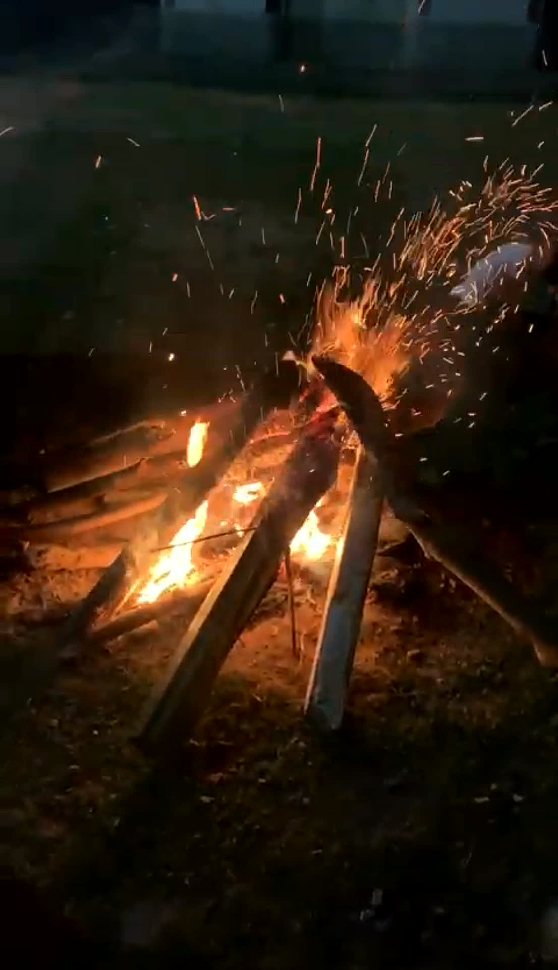 Bonfire Stories
