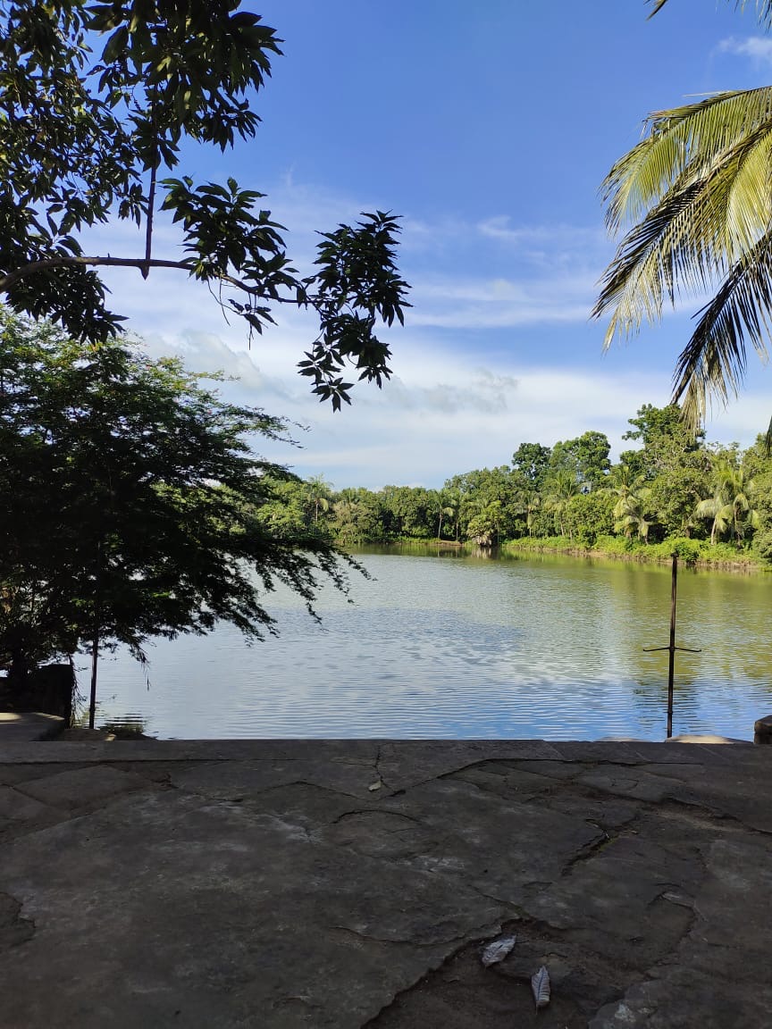 The dighi pond seen through mango and palm trees