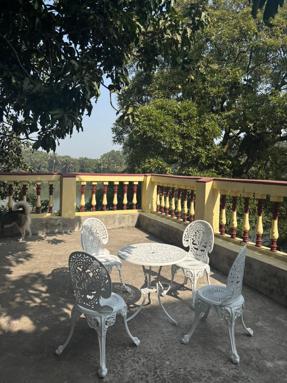 Verandah overlooking the orchard and pond