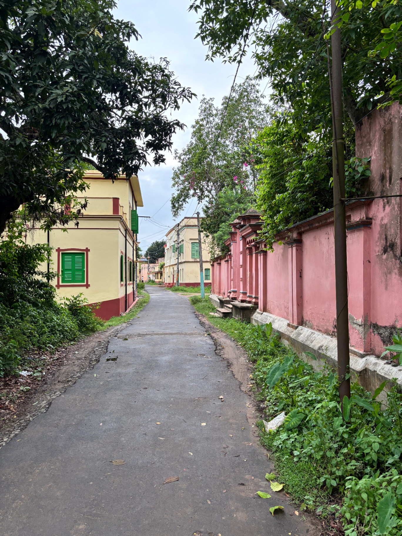 A quiet lane through the village of Amadpur